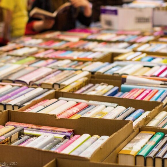 Calling all Bookworms! 📚✨ Book Fair Train - Picture 4 of 4